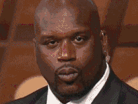 memes-1.gif