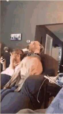 meme-28.gif