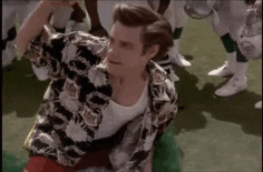 giphy-11.gif