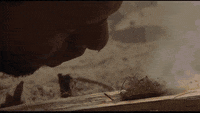 200w-2.gif