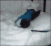 tenor_58.gif