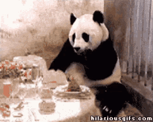 tenor_22.gif