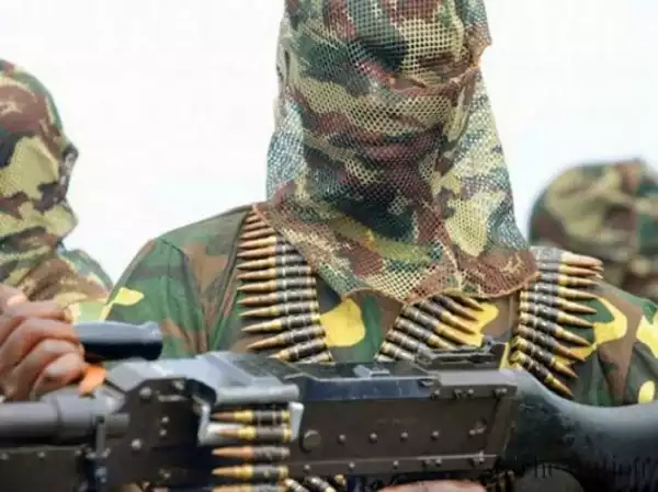60 women reportedly abducted by Boko Haram in Adamawa state