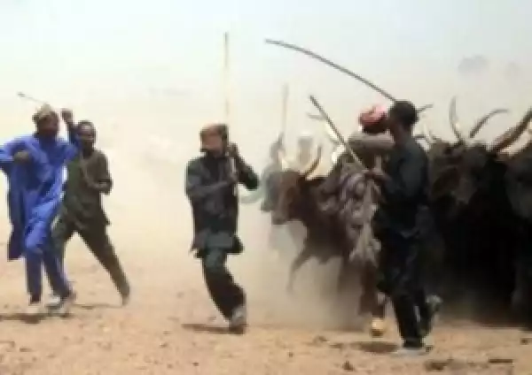 Again, Fulani Militia Attacks Suswam’s Village, Kills 30