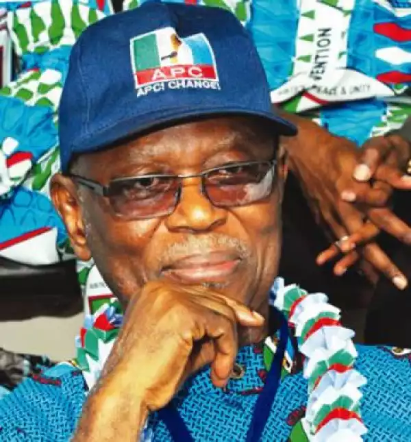 All Problems Of Nigeria Cannot Be Solved In One Day - APC Chairman