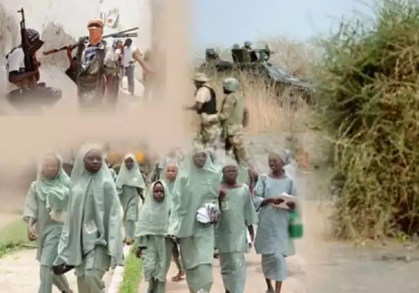 Blame Buhari, Shettima, Lai Mohammed if Chibok girls are not found — PDP