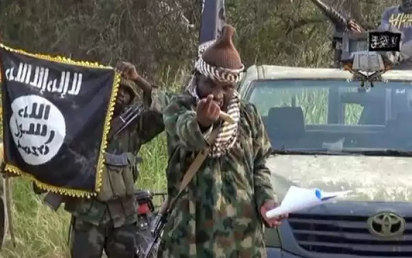 Boko Haram Abducts 30 Boys, Girls in Fresh Attack