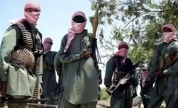 Boko Haram Instititutes Sharia Law in Mubi, Adamawa