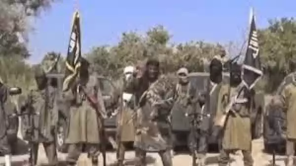 Boko Haram Leader Shekau Denies Ceasefire, Says Chibok Girls Married Off In New Video