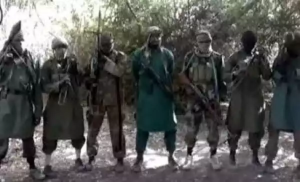 ‘Boko Haram Regroups En Masse In Sambisa Forest’
