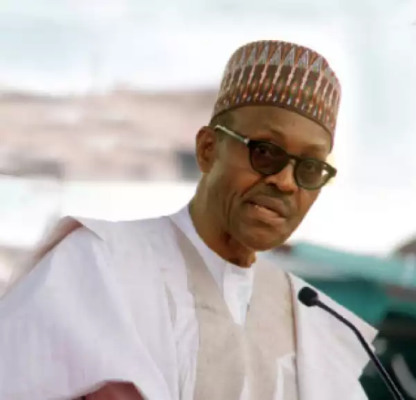 Buhari Never Said He Would Declare His Assets Publicly - Presidency