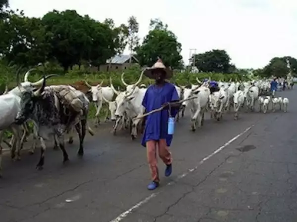 Cattle Rustlers Kill Monarch, Police Inspector, 33 Others In Niger 
