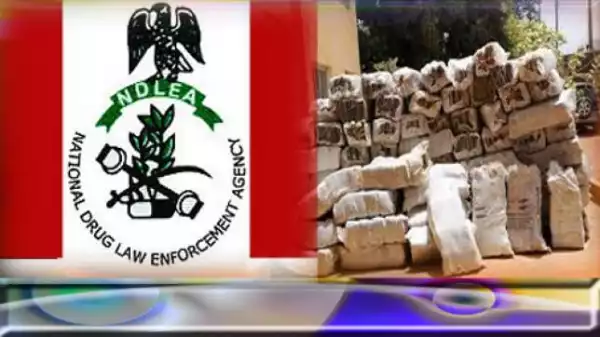 Despite Death Sentence, 19 Nigerians Try To Ship Drugs To Asia – NDLEA