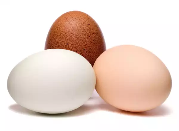 Egg Consumers Lament In Benue As Price Goes Up