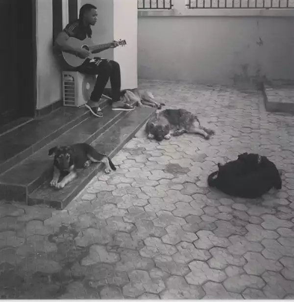 Flavour Spotted Entertaining His Dogs | PHOTO