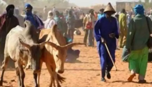 Fulani Herdsmen Kill 9 In Fresh Attack In Taraba