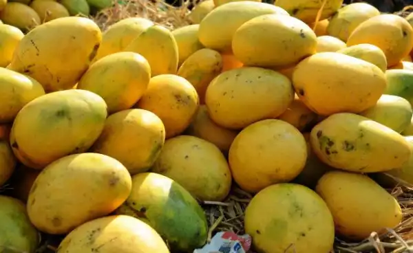 Great Health Benefits Of Mangoes