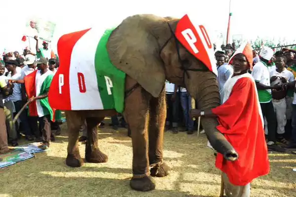 Have You Seen The PDP Campaign Elephant? 