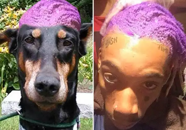 In Photos, People Compares Wiz Khalifa to a Dog