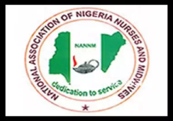 Lagos Needs At Least 600 Young Nurses – NANNM