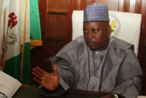 Liberated villages still not safe as Boko Haram members exist there - Gov Shettima