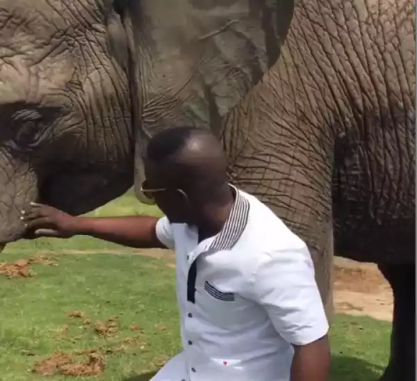 M.I Abaga Hangs Out With Elephants In South Africa
