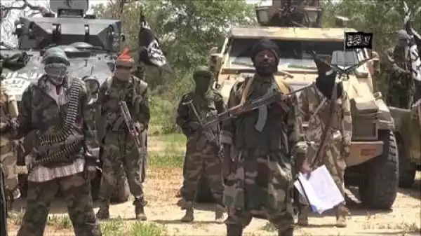 Many Feared Dead As Boko Haram Attacks Community In Borno