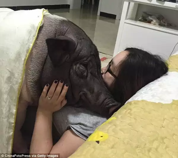 Meet Married Woman Who Shares Her Matrimonial Bed With A Pig! | PHOTOS