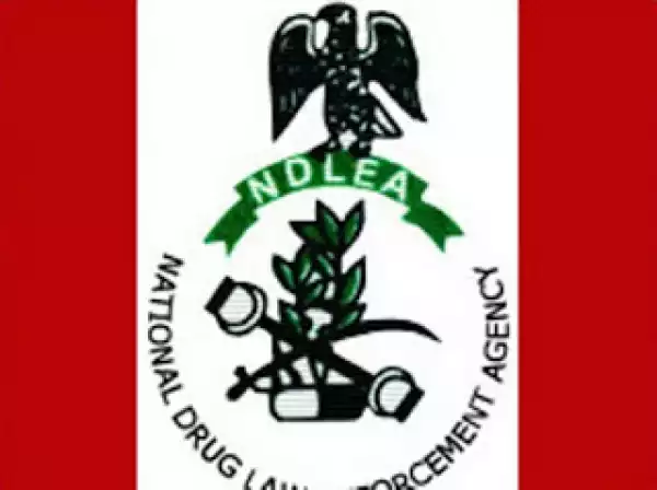 NDLEA-Nigeria Records Highest Number Of Drug Related Convicts In The World