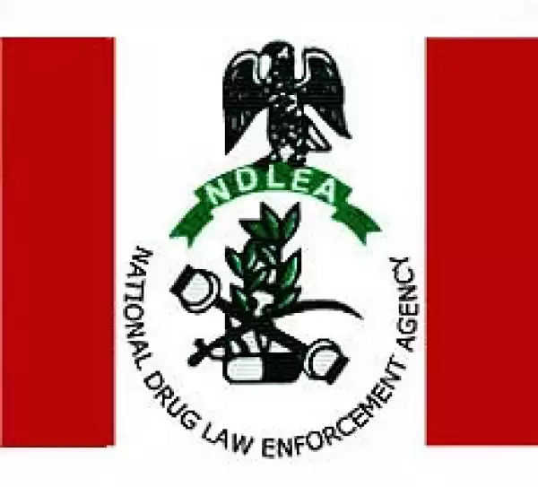 NDLEA Arrests Notorious Drug Baron With Cocaine At Lagos Airport