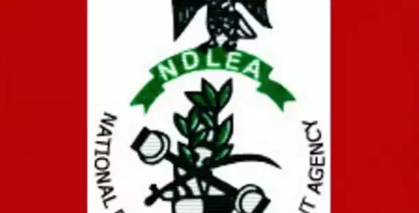 NDLEA Seizes Drugs Worth N542b, Arrested 12,304 People
