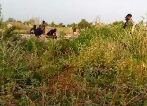Nigeria Detains Military Commanders For Abandoning Mubi To Boko Haram