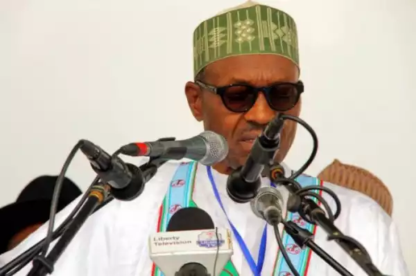 Nigerians ‘ll Gain More From Buhari – Tony Momoh