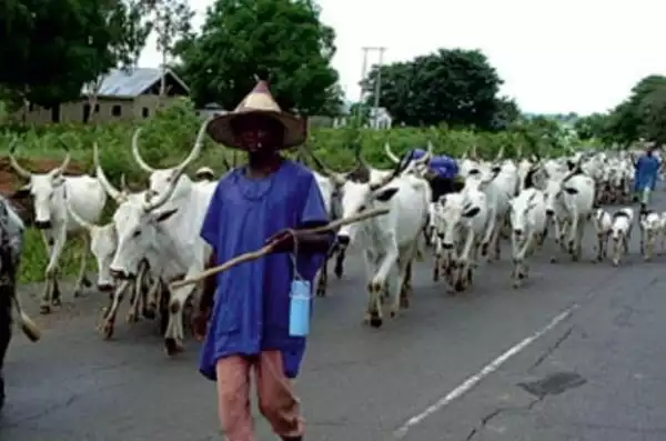 No Herdsman Would Kidnap Olu Falae - Fulani Group 