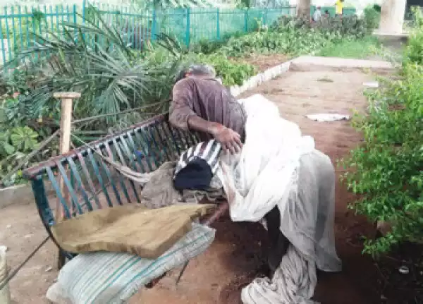 Photo: Decaying Body Abandoned In Lagos State Owned Gardens 