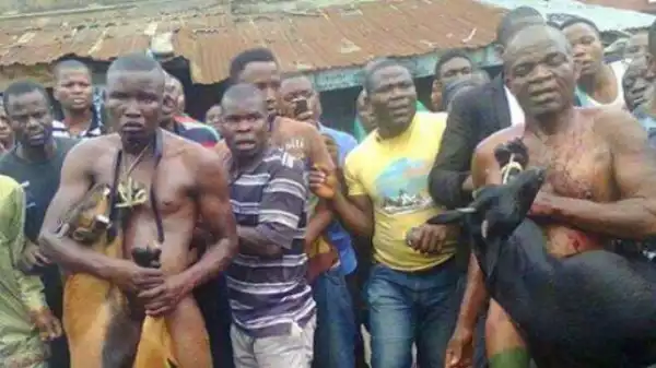 Photo: Goat Thieves Stripped Unclad, Paraded Round Town