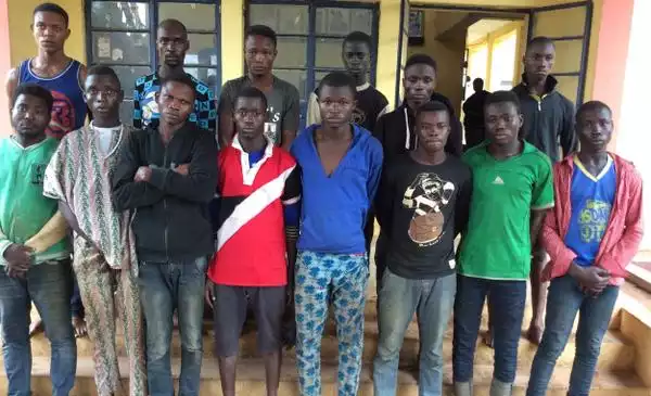 Photo: Ogun Police Arrests Cultists For Armed Robbery, Recovers 10 Cars