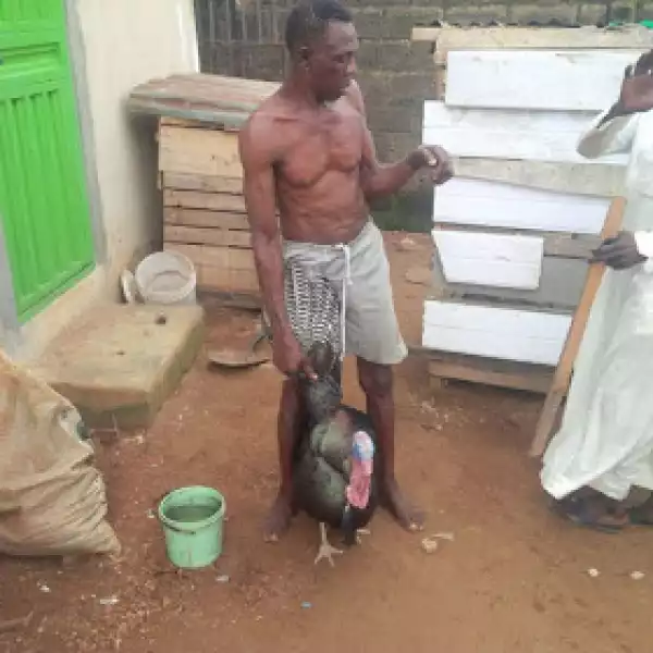 Photos: Man Who Stole Eight Live Turkeys Arrested In Lagos 