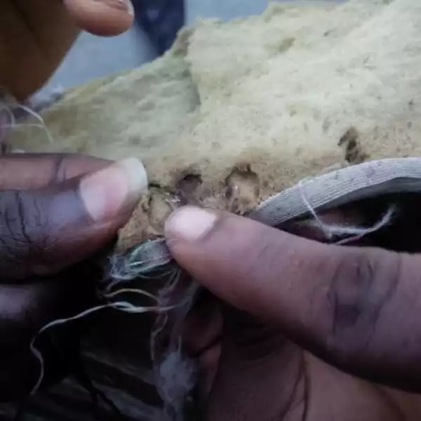 Photos: Ongoing Protest At The University Of Lagos Over Bed Bug Infestation 