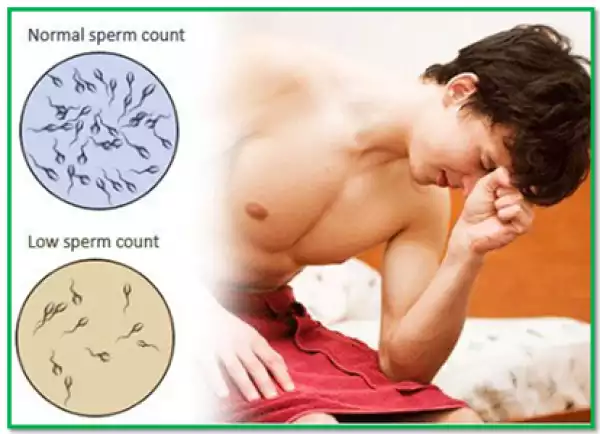 See Foods That Boost Your Sperm Count
