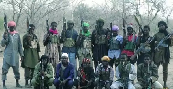 We’ve Already Forgiven Boko Haram – Escaped Chibok Schoolgirls