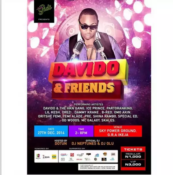 Why I’m holding a concert on the mainland’ – Davido