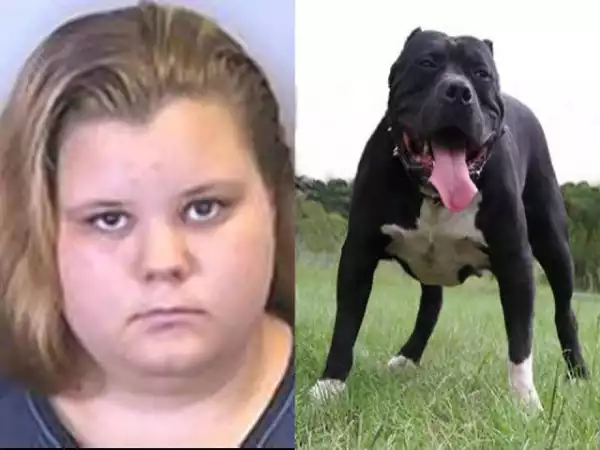 Woman Gets Arrested After She Posted A Pic Of Her And Her Pet Dog Having S£x