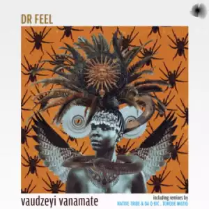 Dr Feel – Vaudzeyi Vanamate (Spirit Mix)