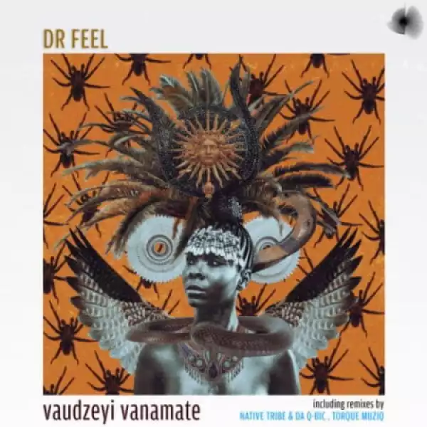 Dr Feel – Vaudzeyi Vanamate (Native Tribe & Da Q-Bic Inhuman’s Remix)