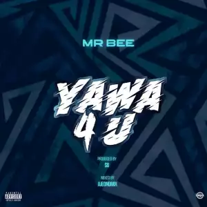 Mr Bee – Yawa 4 U