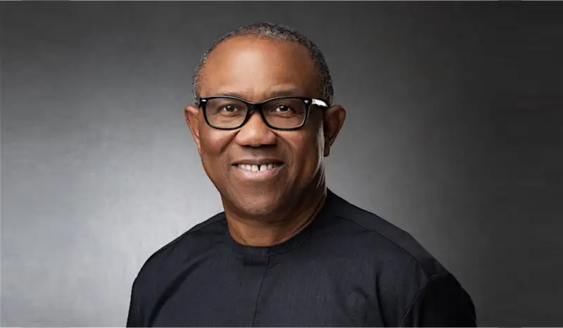 Updated: ADC endorses Peter Obi for President, forms alliance