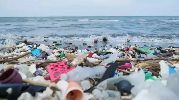 NGO unveils three-month campaign to reduce plastic pollution