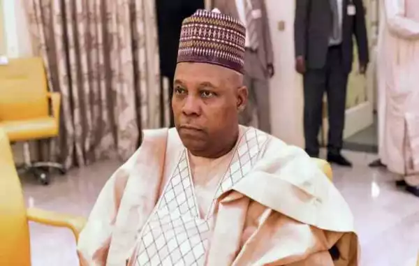 When Naira Went Haywire And Some People Were Celebrating, Inwardly We Were Laughing At Them - Shettima Says