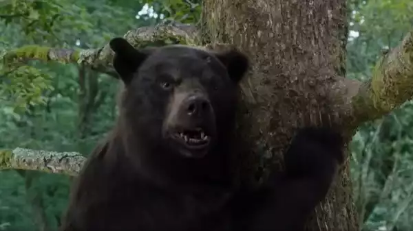 Cocaine Bear Featurette Teases Horror Comedy Movie’s Bizarre Premise